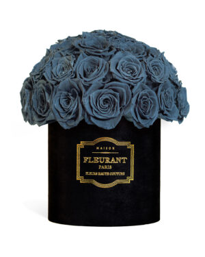 bouquet de 25 à 35 roses bleu-bleuet dans écrin noir